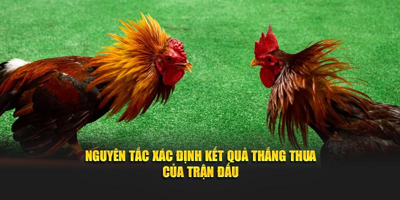 Nguyên tắc xác định kết quả thắng thua của trận đấu